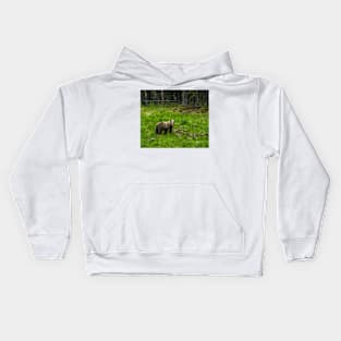 Grizzly Bear Kids Hoodie